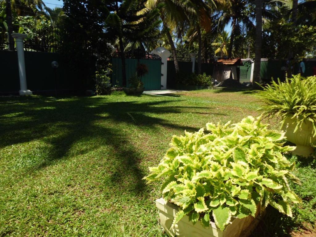 Villa W Bentota Exterior foto